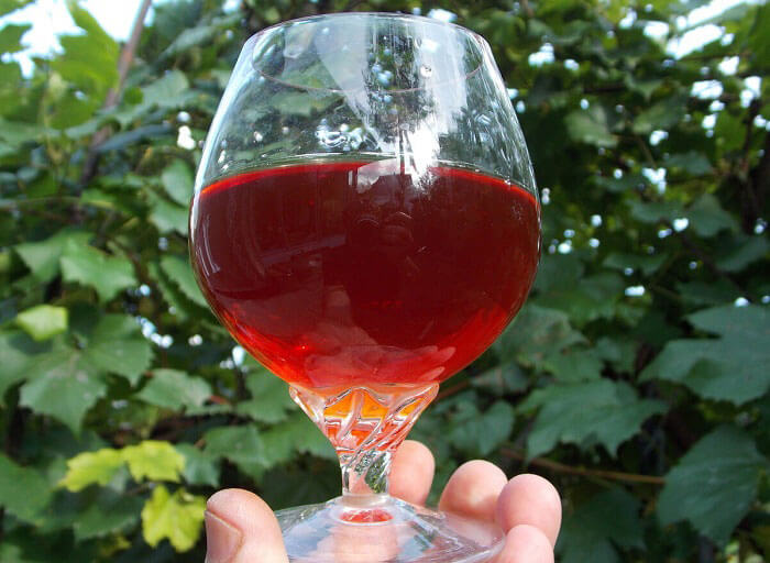 рецепты домашнего вина из ягод